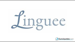 Diccionario online gratis ingles frances aleman y otros idiomas Linguee