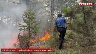 Kütahya Kent Merkezinde Orman Yangını Çıktı