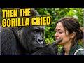 Gorilla Lived Alone For 29 Years, Untouched. Then She Walked In!