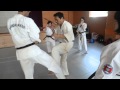 Ashihara karate counter techniques kaeshi waza