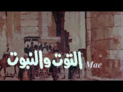 محمد سلطان تتر فيلم التوت و النبوت