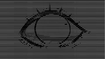 2D Moire Animation Simulation: EYE