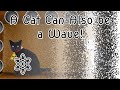 A cat can also be a wave!  Let Me Explain Why |⚛