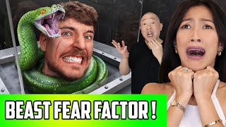 Reacting To Mr. Beast - Face Your Biggest Fear To Win $800,000 Reaction