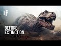 Everything You Need to Know About Dinosaurs