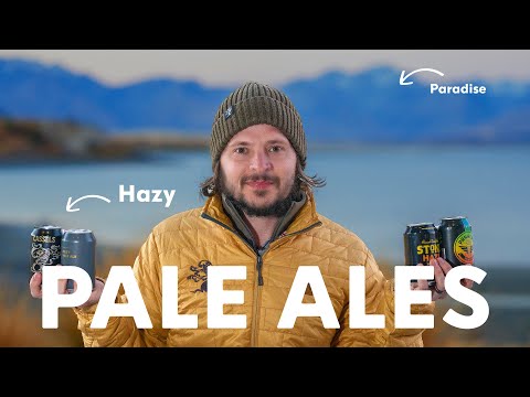 Which Hazy Pale Ale Is Best