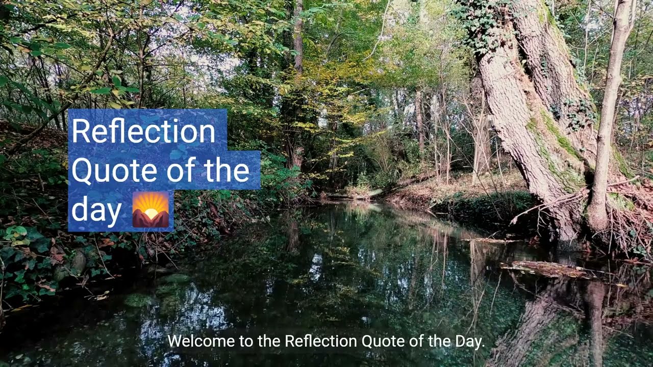 Reflection Quote of the Day #1 Margaret J. Wheatley