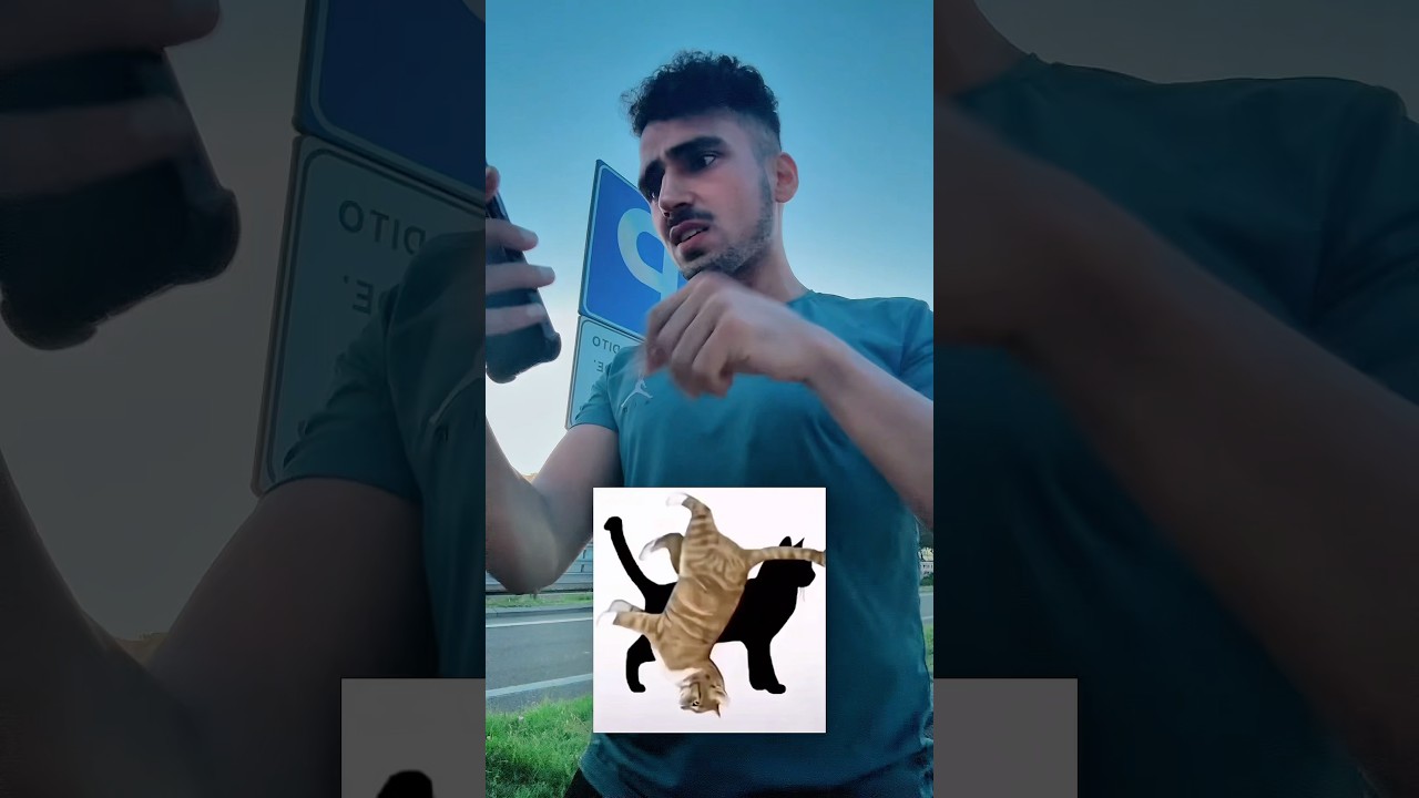 È molto difficile 😾 unire 2 gatti in 1 🐈⬛🐈😹😸 #ironia #gatto #risate #viraleshorts #challange