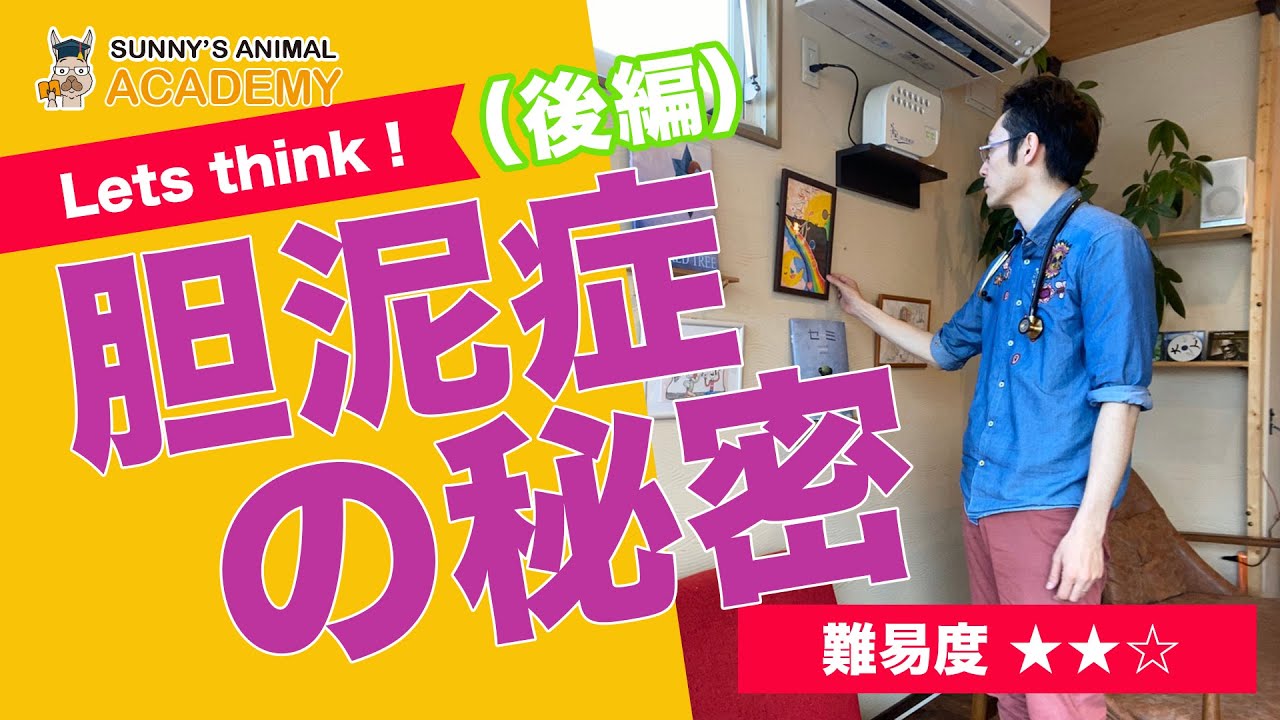 胆泥症の秘密後編/サニーズアニマルクリニック