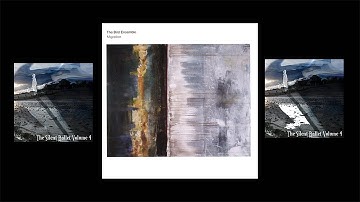 The Bird Ensemble - Migration - Part 1 No 4