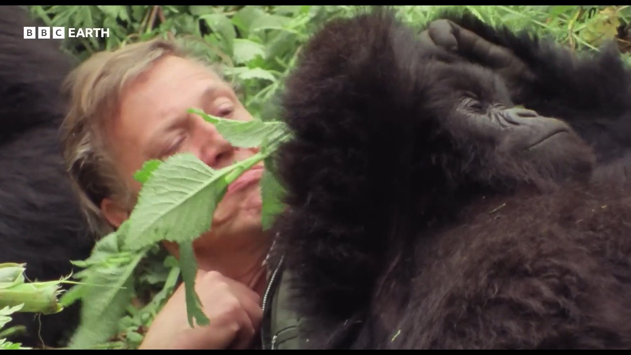 Making Life on Earth: Attenborough’s Greatest Adventure | BBC Player | Premiering 8 May