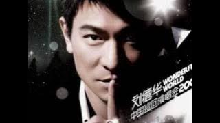 《谢谢你的爱》 Thank You for Your Love (with lyrics and English translation)