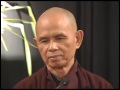 Looking Deeply Into The Nature of Things (Thich Nhat Hanh)