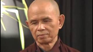 Looking Deeply Into The Nature of Things (Thich Nhat Hanh)