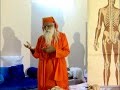Swami Dev Murti Ji  - Lecture in Rishikesh