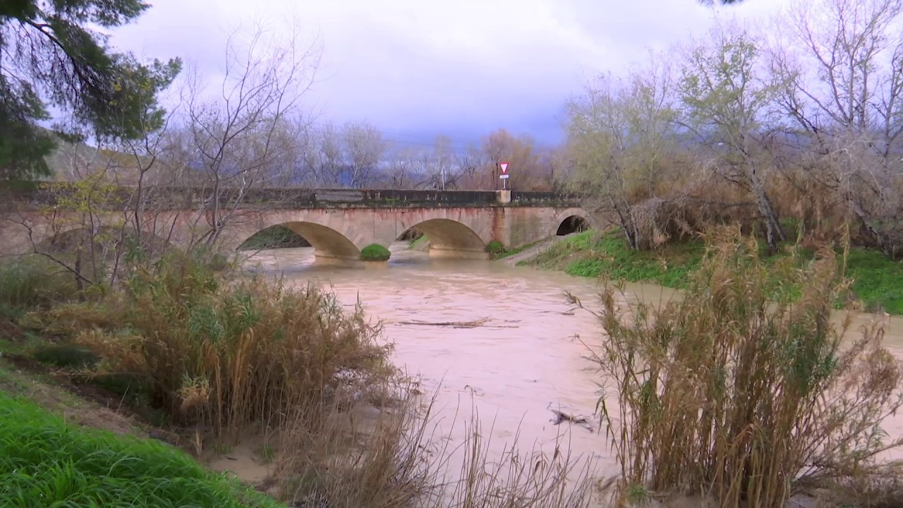 El agua de los ríos cumple un ciclo natural y realiza una función necesaria para la biodiversidad