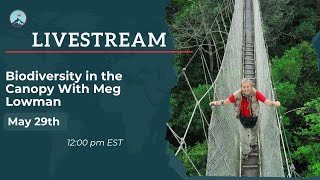 Biodiversity in the Canopy With Meg Lowman