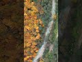 Autumn nature . Gilan, Iran