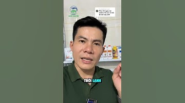 Tạt Iodine xong tôm bỏ ăn? Nguyên nhân thật sự và cách xử lý đúng để bảo vệ gan tôm