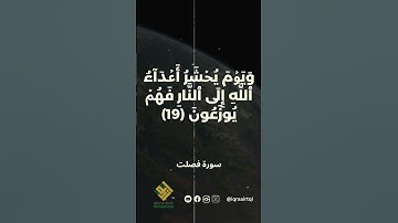 ونجينا الذين آمنوا وكانوا يتقون  - سورة فصلت