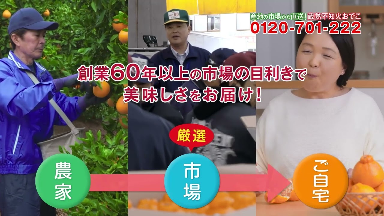 初回限定】不知火おでこがお試し価格！