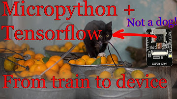 Dog detection on ESP32 - from train to deploy