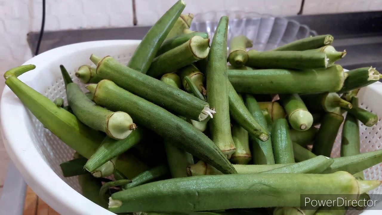 COMO CONGELAR QUIABO CRU ,SIMPLIS, FÁCIL E RÁPIDO!! YouTube