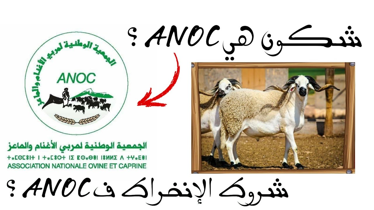 الجمعية الوطنية لمربي الأغنام و الماعز | لانوك ANOC