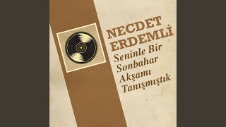 Seninle Bir Sonbahar Akşamı Tanışmıştık