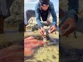 OMG 😳 Twin Sea Creatures Found! 🦑🐟 Unbelievable Ocean Discovery 😱 #Viral #Fishing