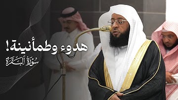 تلاوة ملؤها الهدوء والطمأنينة من سورة البقرة للشيخ بدر التركي | فجر الثلاثاء 6-1-1447هـ