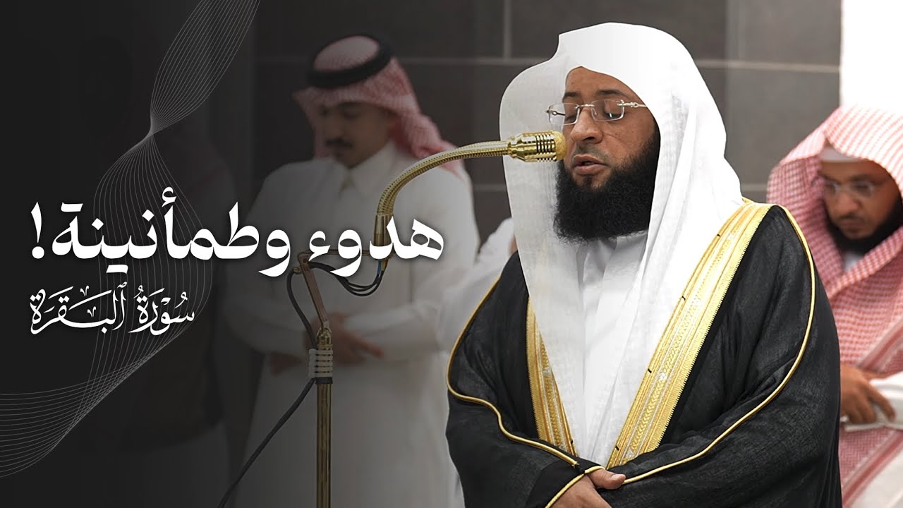 تلاوة ملؤها الهدوء والطمأنينة من سورة البقرة للشيخ بدر التركي | فجر الثلاثاء 6-1-1447هـ