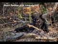 Black Panther | Langoor Kill | Kabini