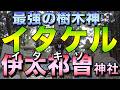 最強の樹木神イタケル/伊太祁󠄀曽神社/紀州の旅01再up版