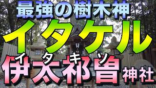 最強の樹木神イタケル／伊太祁󠄀曽神社／紀州の旅01再up版