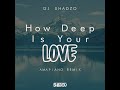 DJ ShadzO - How Deep is Your Love (Amapiano Remix)