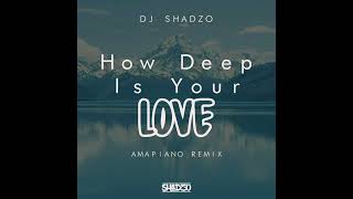 DJ ShadzO - How Deep is Your Love (Amapiano Remix)