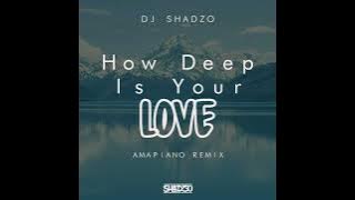 DJ ShadzO - How Deep is Your Love (Amapiano Remix)