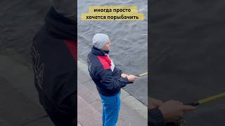 🎣 РЕЛАКС от РЫБАЛКИ здесь и сейчас #рыбалка #санктпетербург #спб #рыба #ловить #удочка #нева