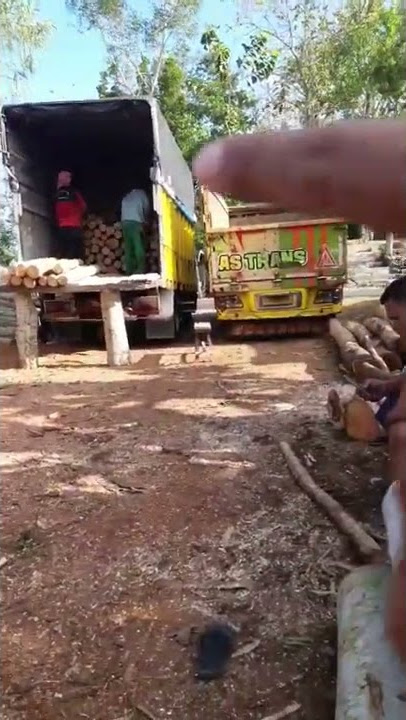 proses muat kayu sengon reject ke dalam truk canter krodong untuk dikirim ke cilongok