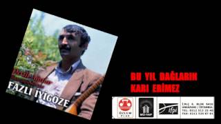 Fazlı İyigöze - Bu Yıl Dağların Karı Erimez
