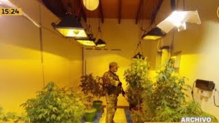 "VIP Marijuana": The Sentence