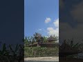 menerbangkan layangan