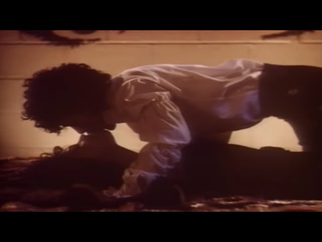 Prince - Pink Cashmere