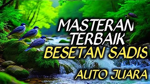 TERAPI AIR UNTUK SEMUA JENIS BURUNG , GEMERICIK AIR , MASTERAN FULL ISIAN TEMBAKAN MATERI MEWAH