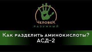 Как разделить аминокислоты? АСД-2 (&quot;Человек-Разумный&quot;, 2016)