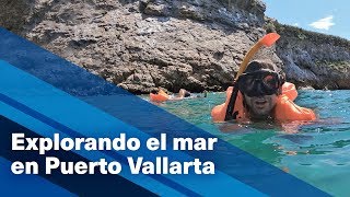 #AlAire | Explorando Puerto Vallarta