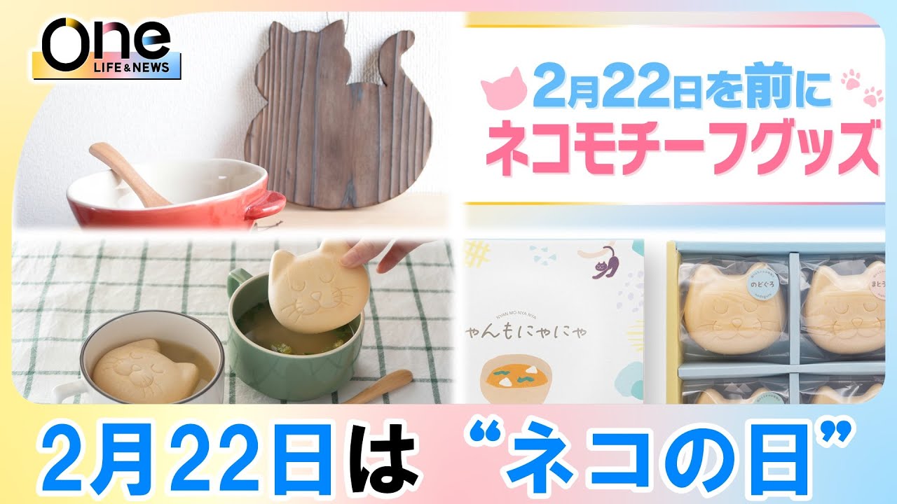 Oneトレ】2月22日（ニャンニャンニャン）「ネコの日」を前にネコが