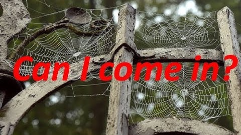 Proxy and External Authentication