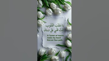 #حالات_واتس #تلاوة_خاشعة #إسلام_صبحي #تلاوة_مؤثرة #صوت_يريح_القلب #قرآن #صلوا_علي_النبي #تلاوة_مميزة